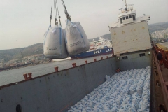 chartering-bulck-cargo-12